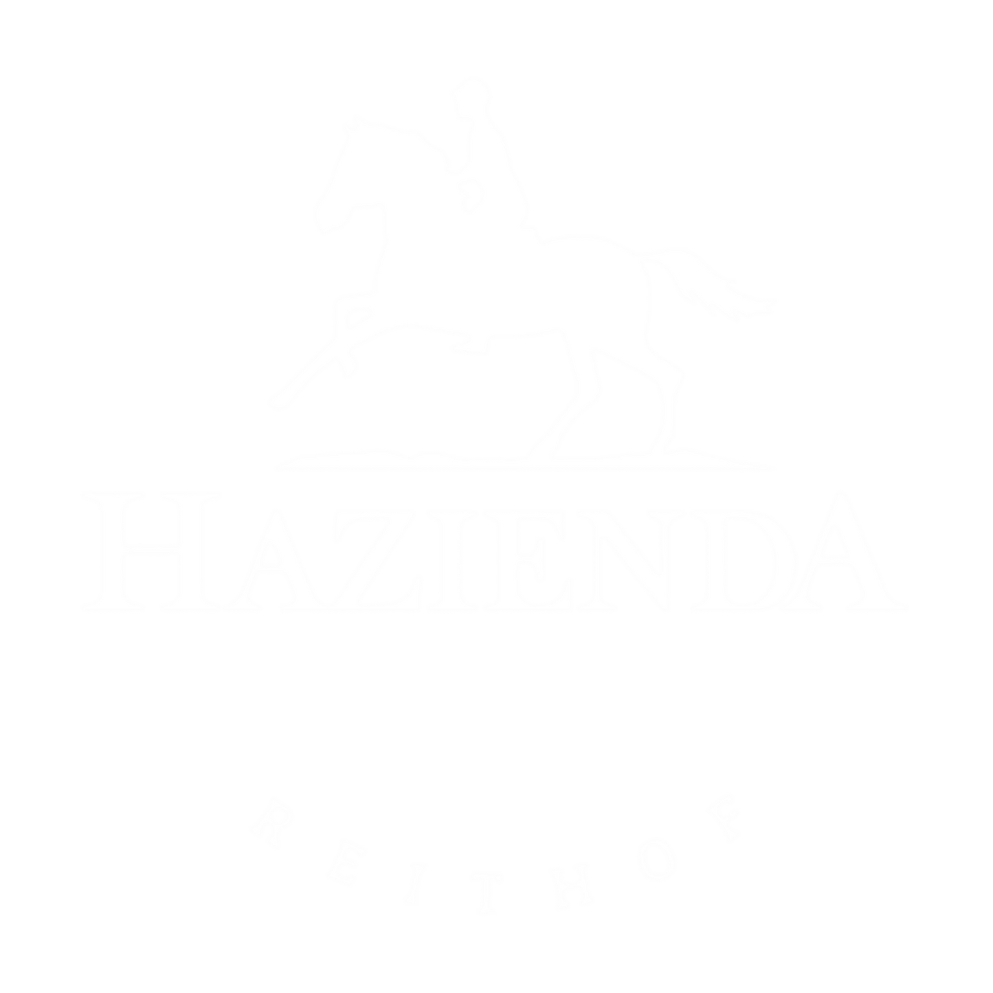 Ein Reiter auf einem Pferd im Galop